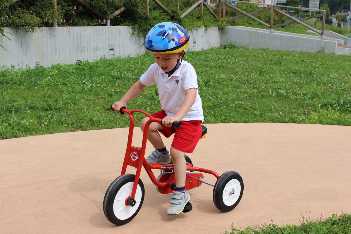 Tricycle with chain guard