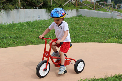 Tricycle with chain guard
