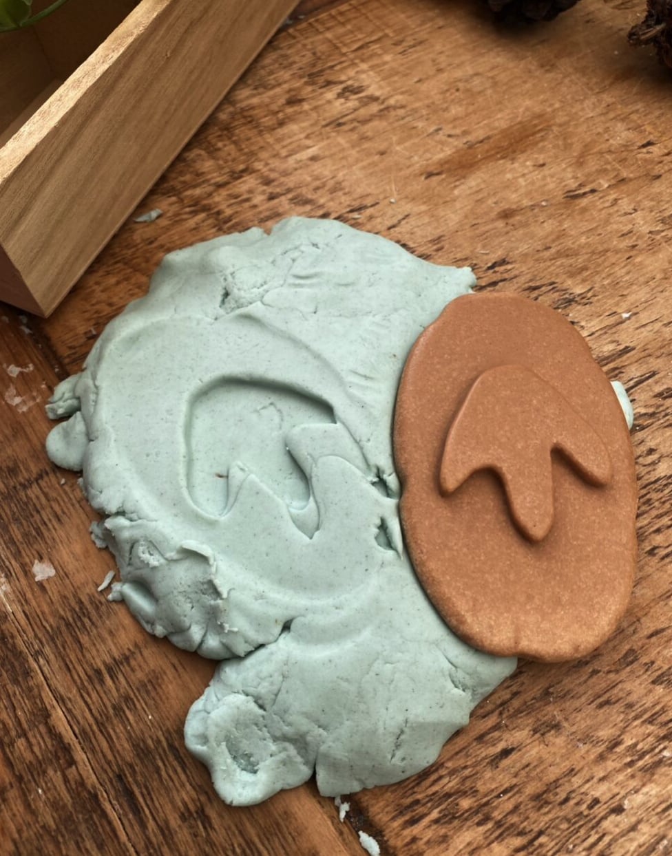 Dinosaur excavation kit