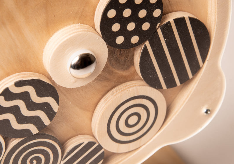 Contrasting shapes form a wheel