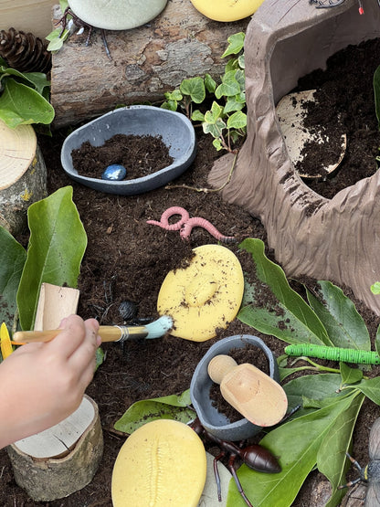 Onderzoekset insecten