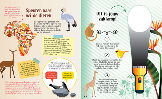 # Flashlight Book Search for Wild Animals