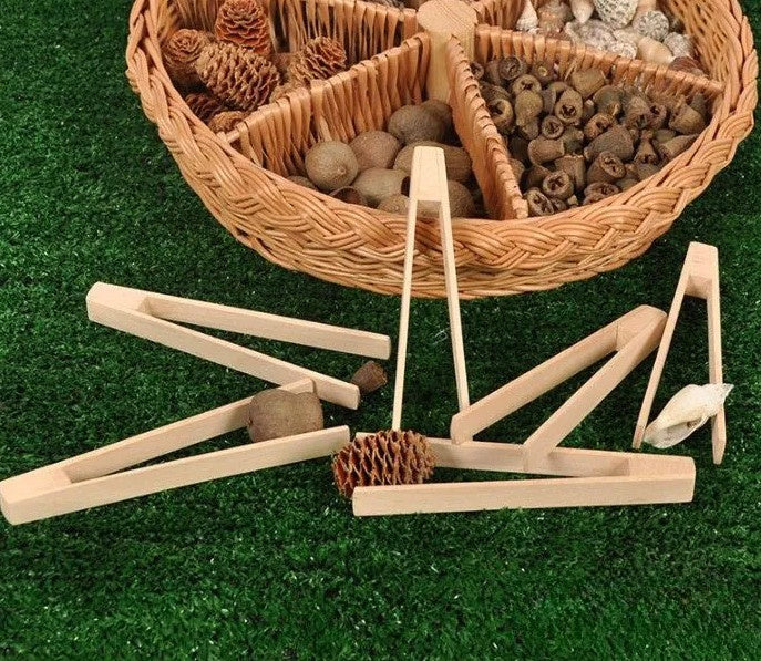 Houten pincetten, 6 stuks