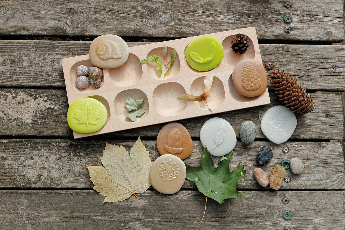 Nature Research Set