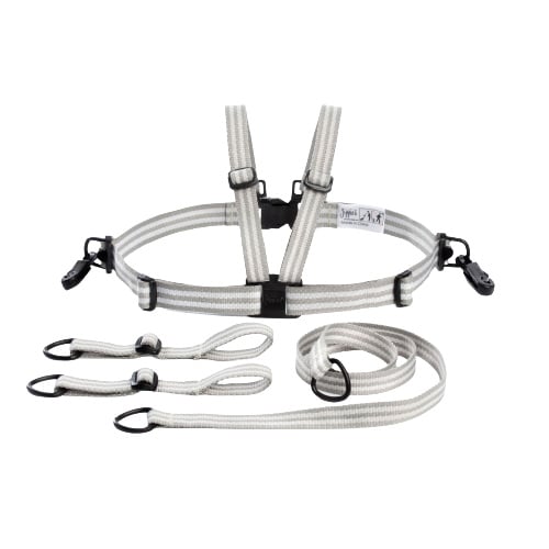 # Safety harness with lanyard