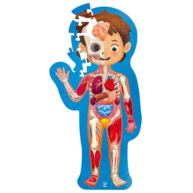 Human Body Puzzle, 1 meter - 50 pieces