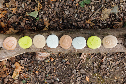 Nature Research Set