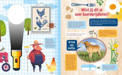 # Flashlight book Searching at the farm