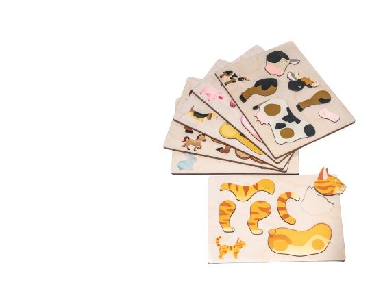 6 puzzels in een houten opbergkist