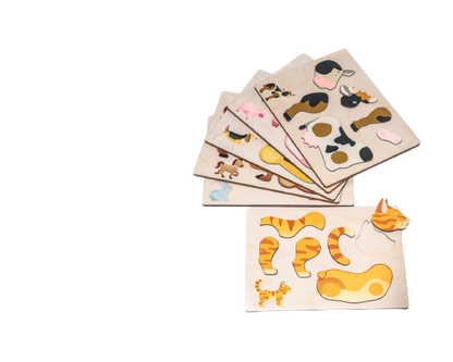 6 puzzels in een houten opbergkist