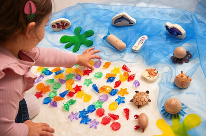 Tickit Transparent Coloured Shells, 72 pieces