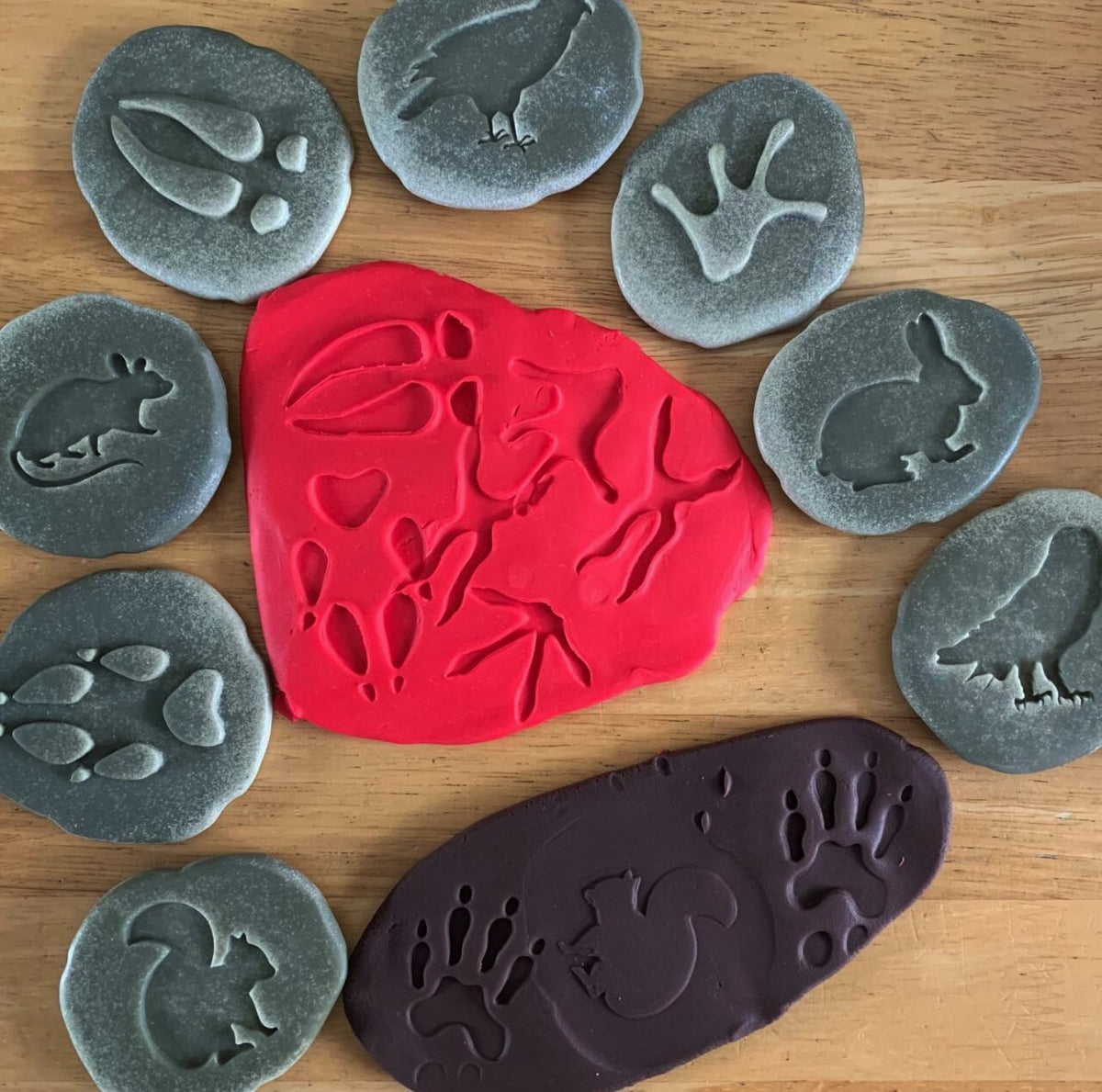 Forest Animals Research Set
