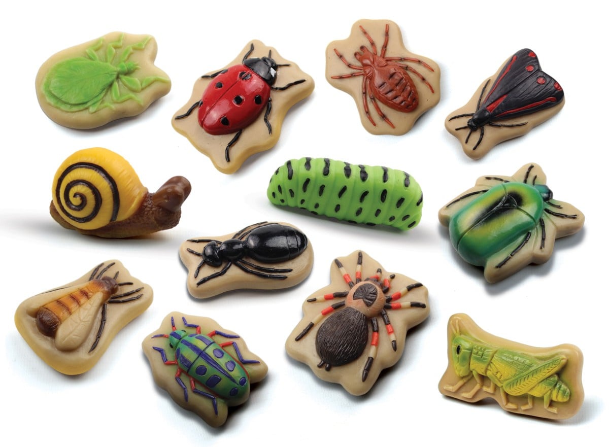 Sensorische speelstenen, Insecten