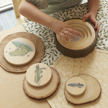 Guidecraft Levenscyclus Puzzels, set van 3