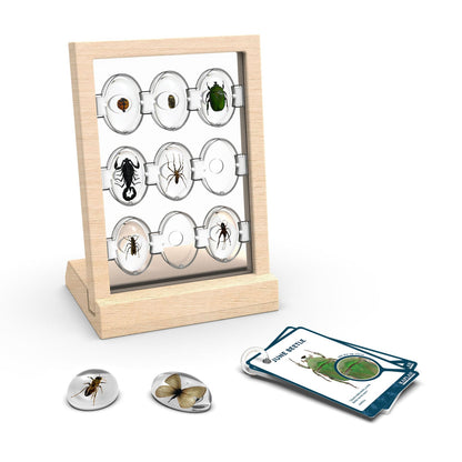 Guidecraft See-Through Discovery Stones - Sea Animals