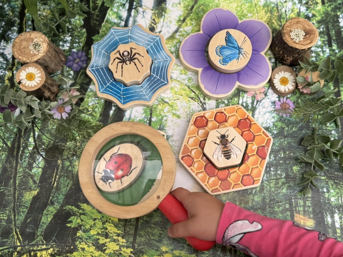 Puzzle: Which insects are hiding in the garden?