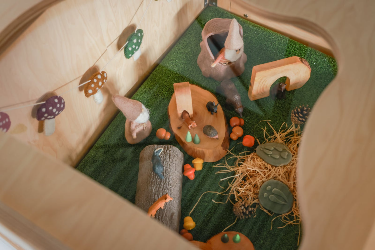 Organisch gevormde Thema-kijkkast, decor