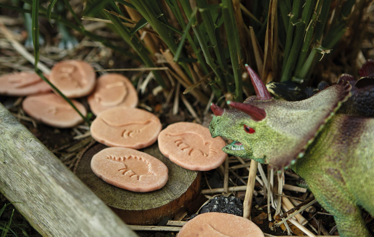 Dinosaur excavation kit