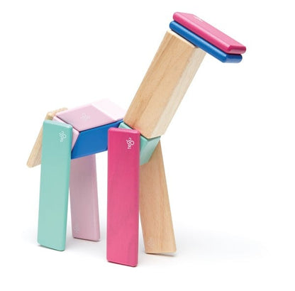 Tegu magnetic block set 130-piece + 60 wheels