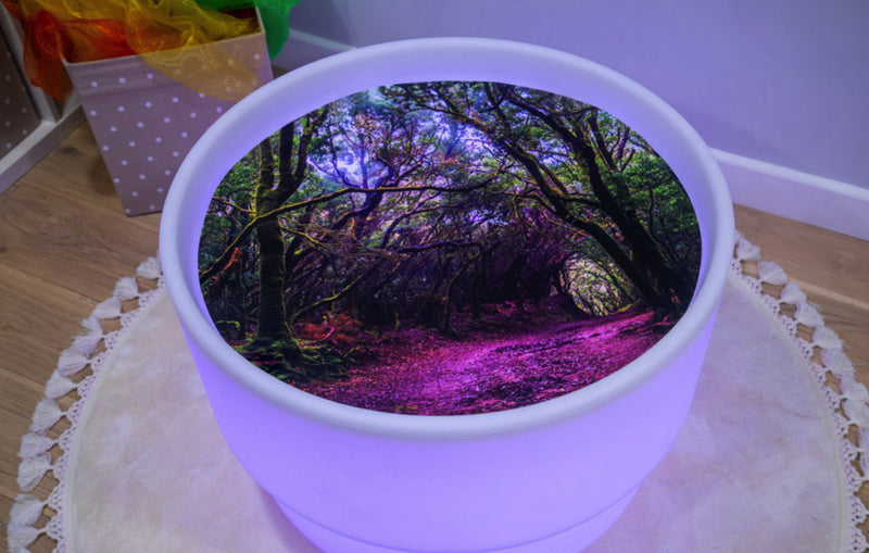 Tickit speelmat Het bos
