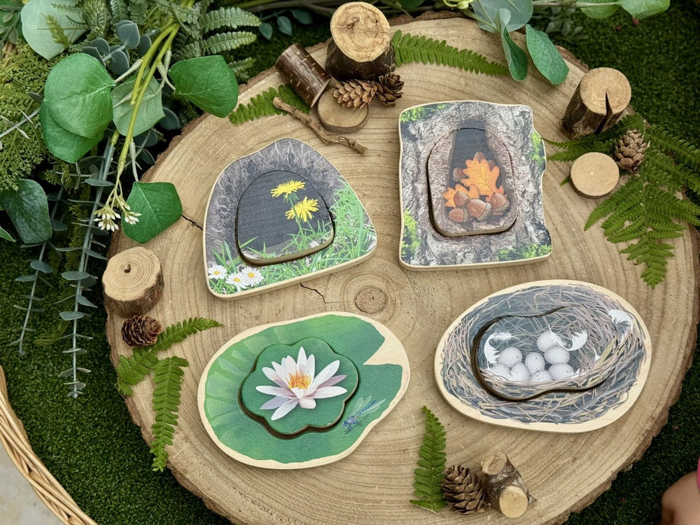 Puzzle: Which animals are hiding in the forest?
