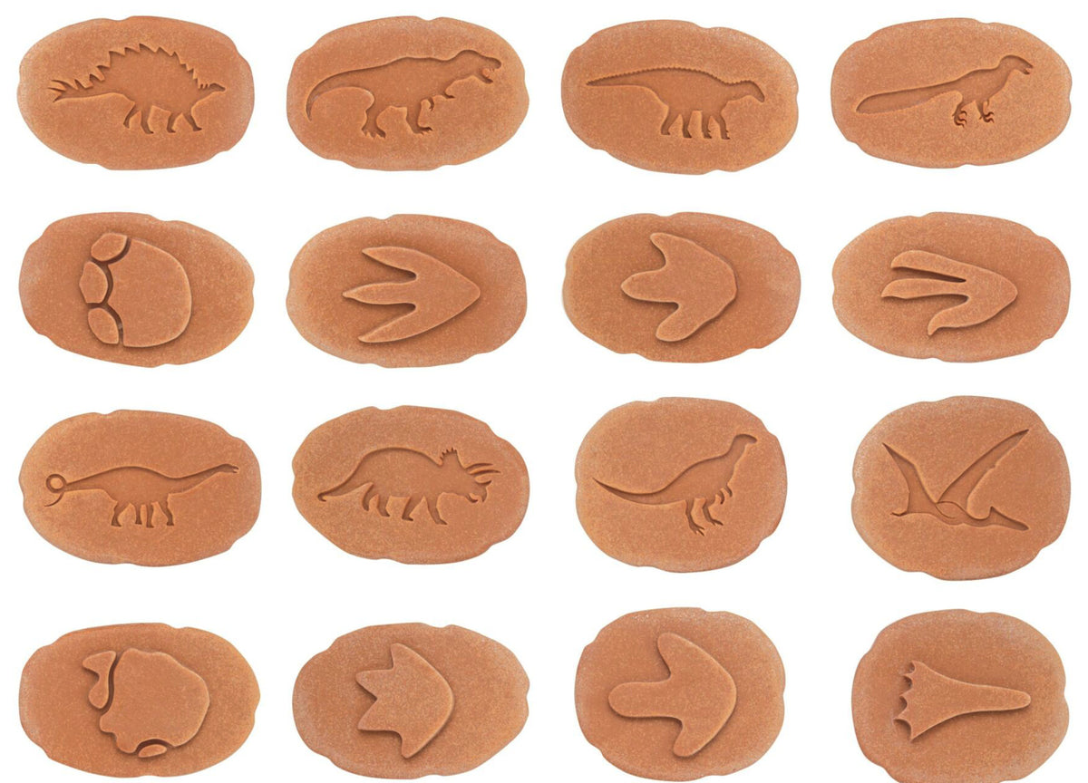 Dinosaur excavation kit