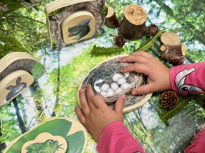 Puzzle: Which animals are hiding in the forest?