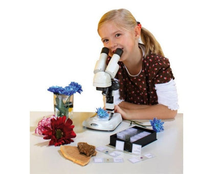 # Stereo microscoop