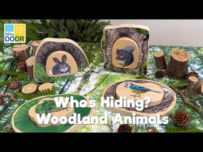 Puzzle: Which animals are hiding in the forest?