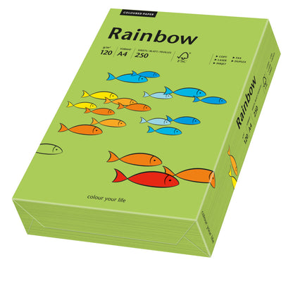 A4 paper, available in various colours